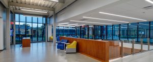 Sustainable Design Feature Image