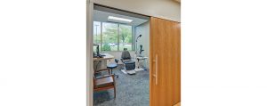 Wolfe 6